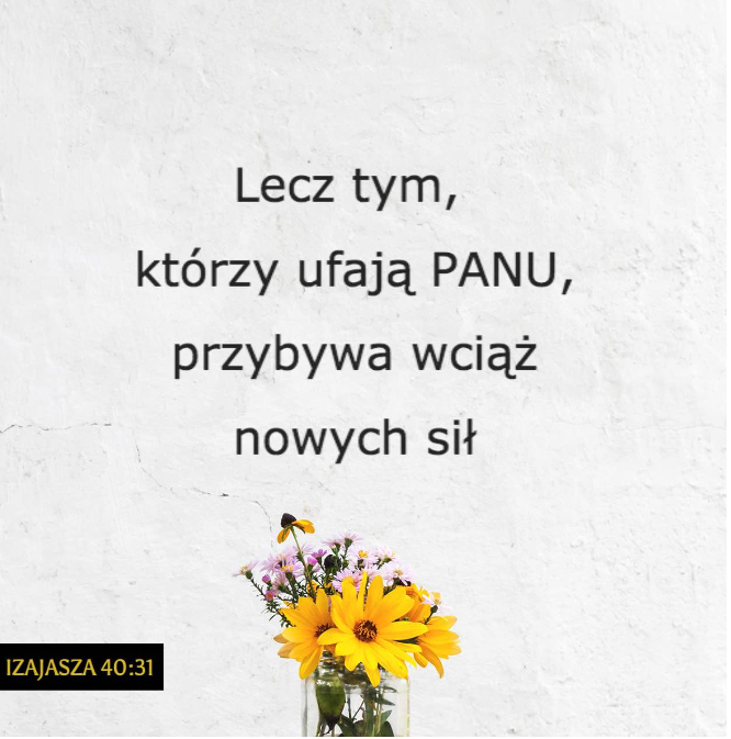 2019-11-06 01.58.04.jpg